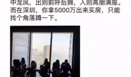 冯先生深圳最新爆料,揭秘深圳最新动态与热点事件
