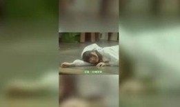 前线娱乐爆料网站,明星幕后故事大揭秘