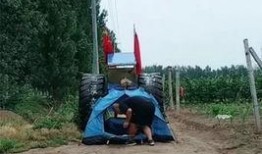 哈尔滨徒步爆料事件视频,真相与争议交织的徒步之旅